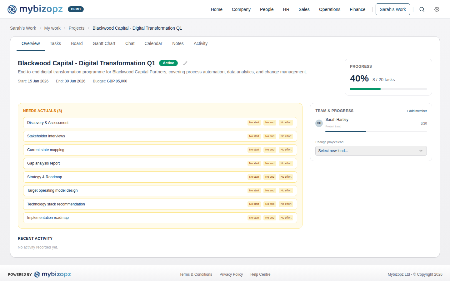 Project overview showing progress, team, budget and overdue tasks